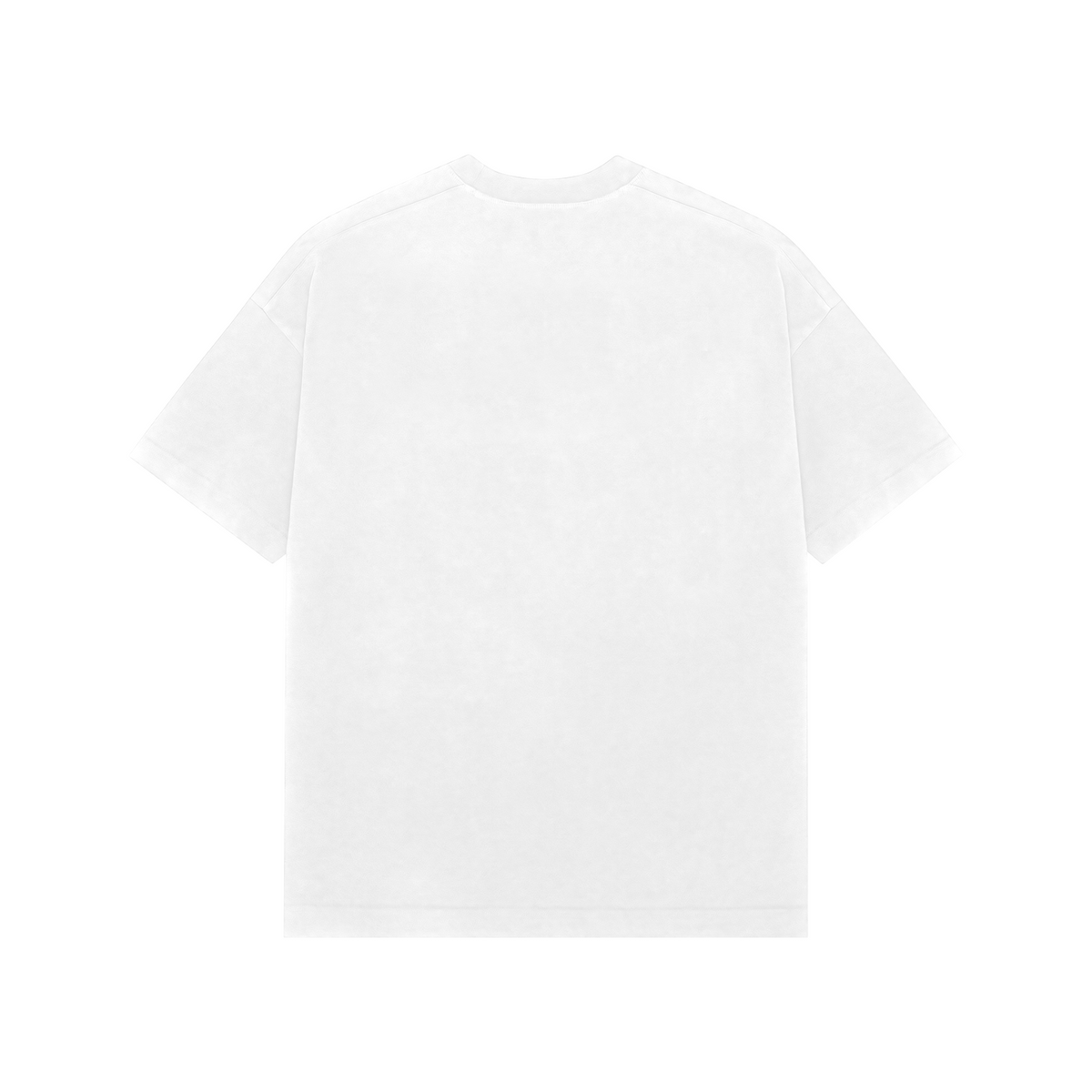 Sunlit Wings — Premium Oversized T-shirt